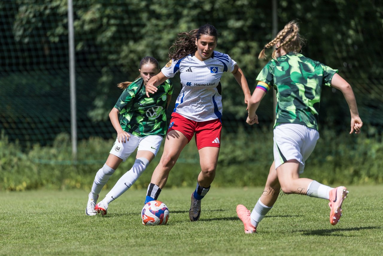 Bild 290 - wBJ Hamburger SV - VfL Wolfsburg : Ergebnis: 5:1